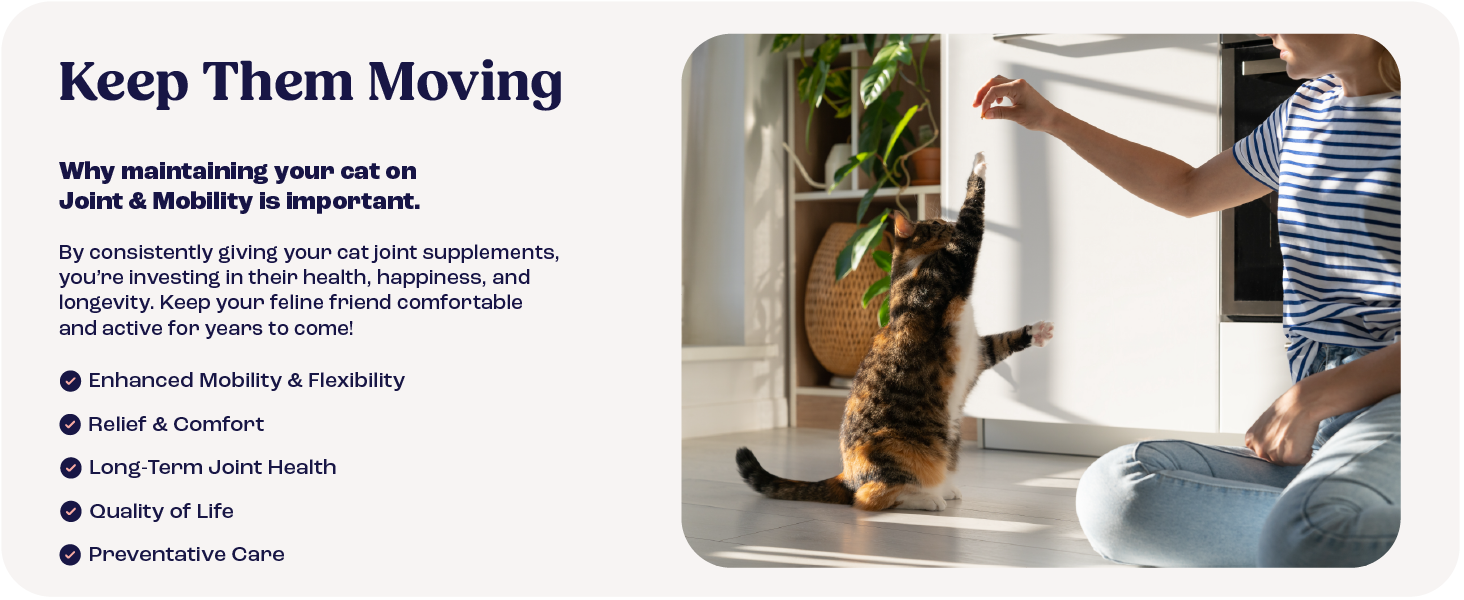 Cat Joint Supplement Chondroitin Mobility Support Natural Formula