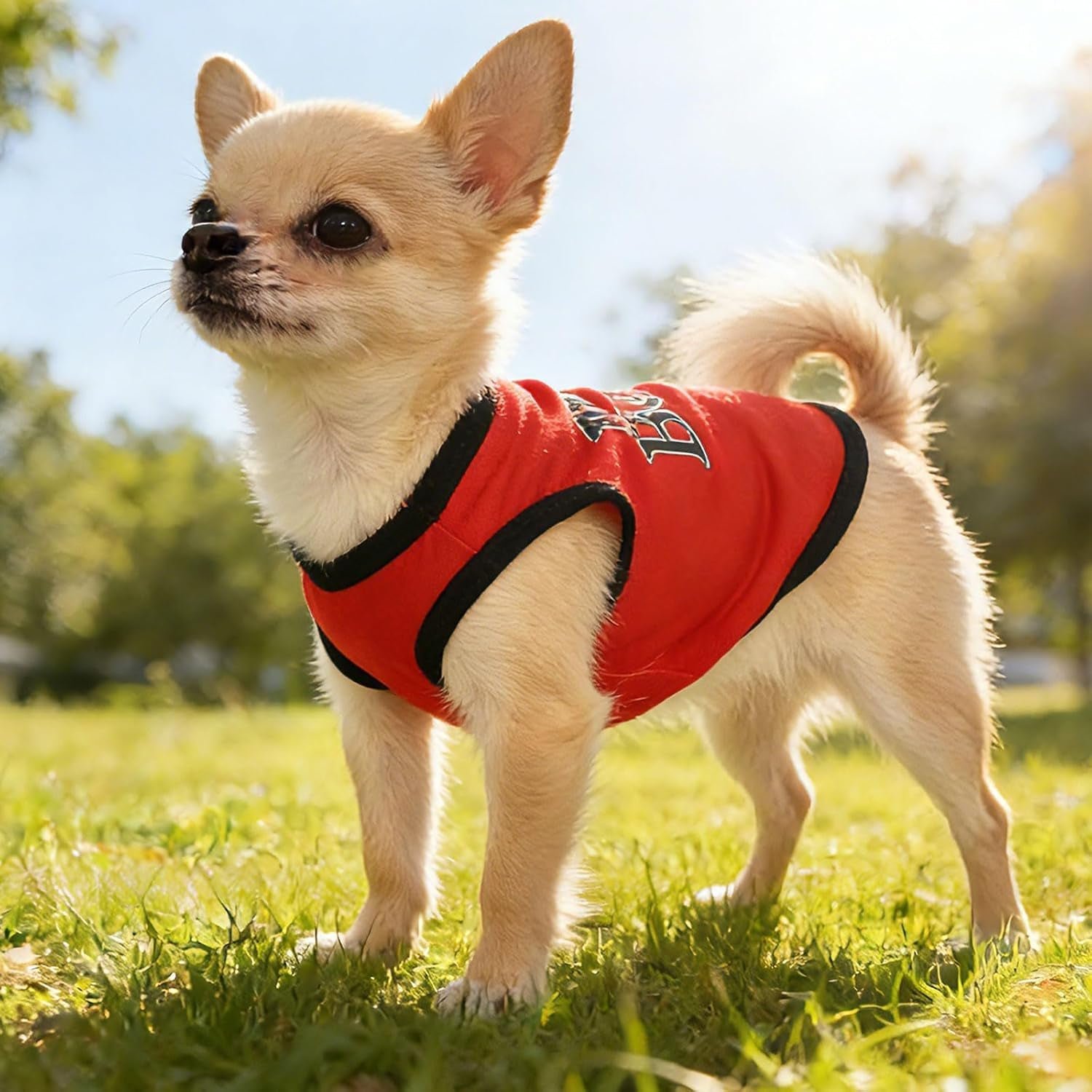 Small Dog Shirts 4-Pack — Cute Clothes for Tiny Breeds