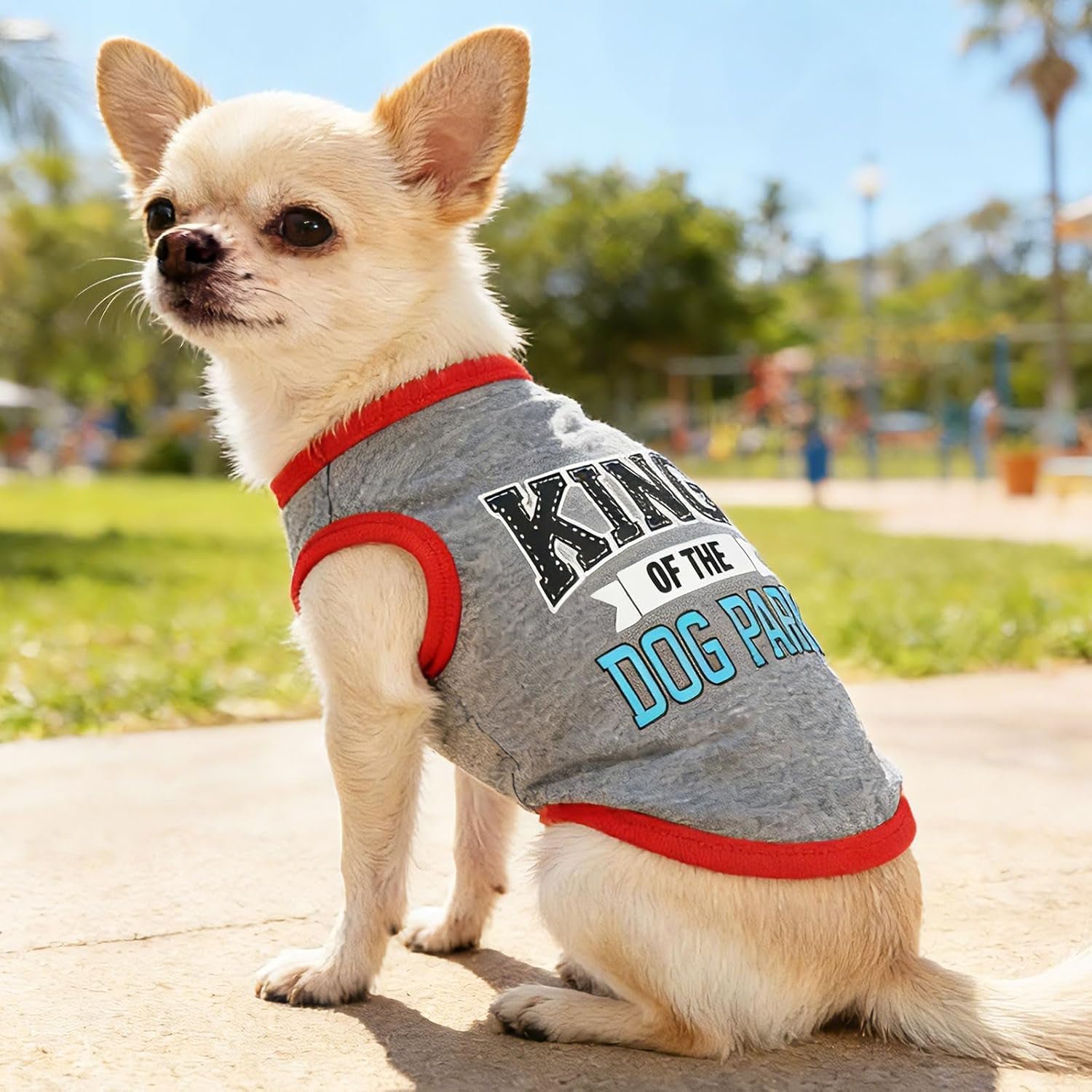 Small Dog Shirts 4-Pack — Cute Clothes for Tiny Breeds