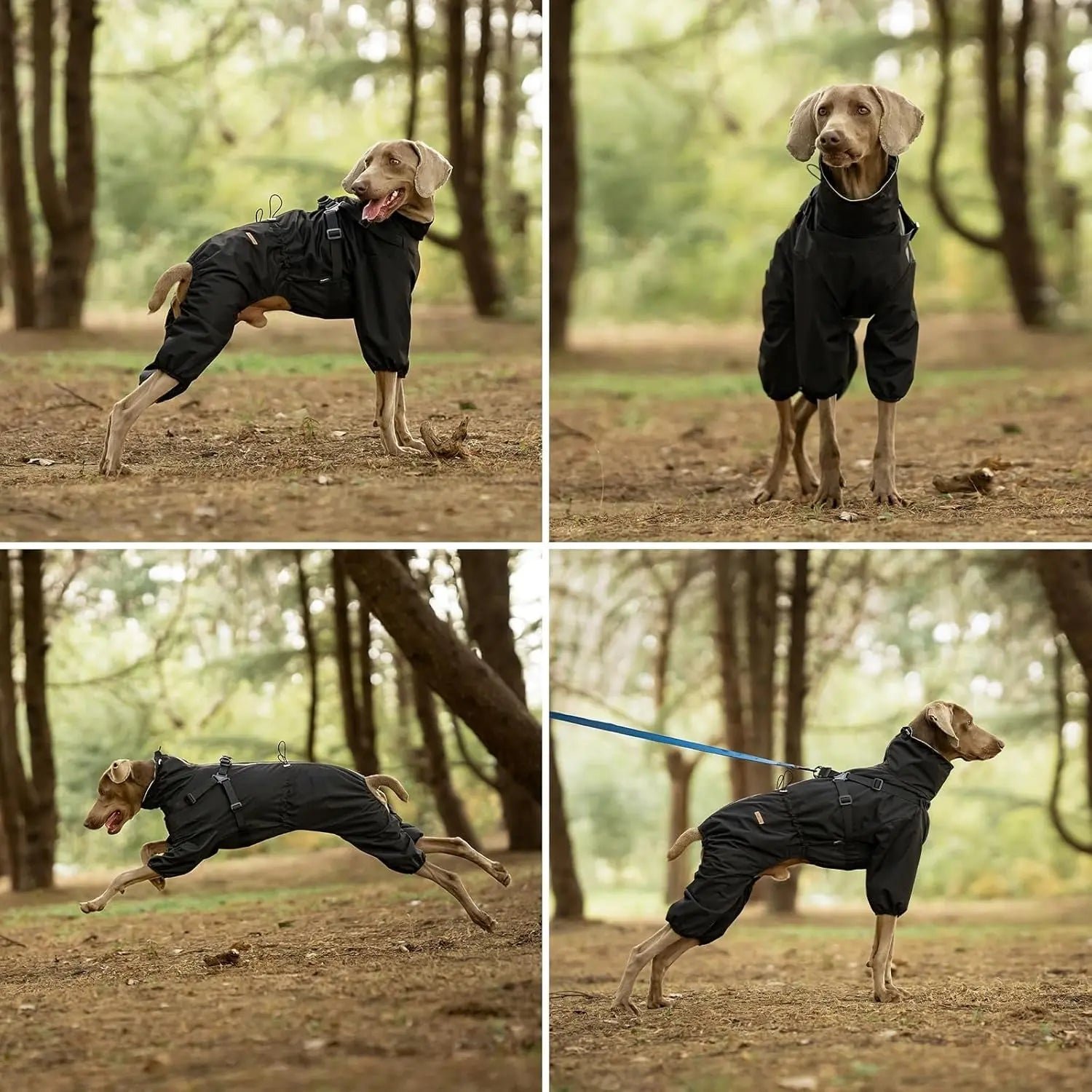 Waterproof Dog Raincoat with Harness Reflective