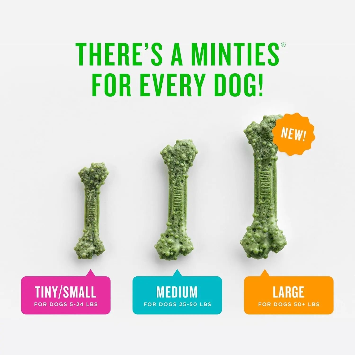 Minties Dental Dog Treats – Vet-Recommended Mint Bones for Clean Teeth