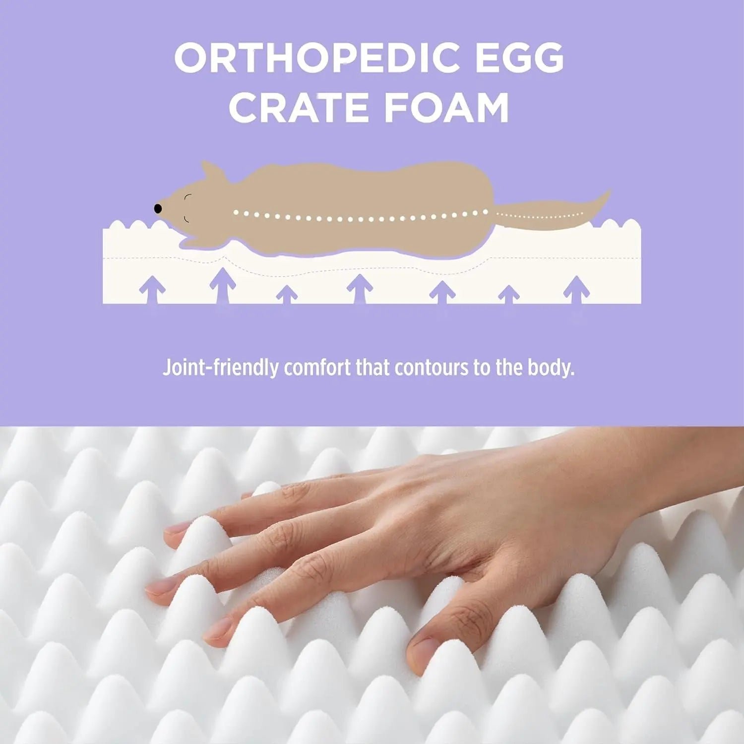 Orthopedic Dog Bed for Large Breeds — Waterproof & Washable