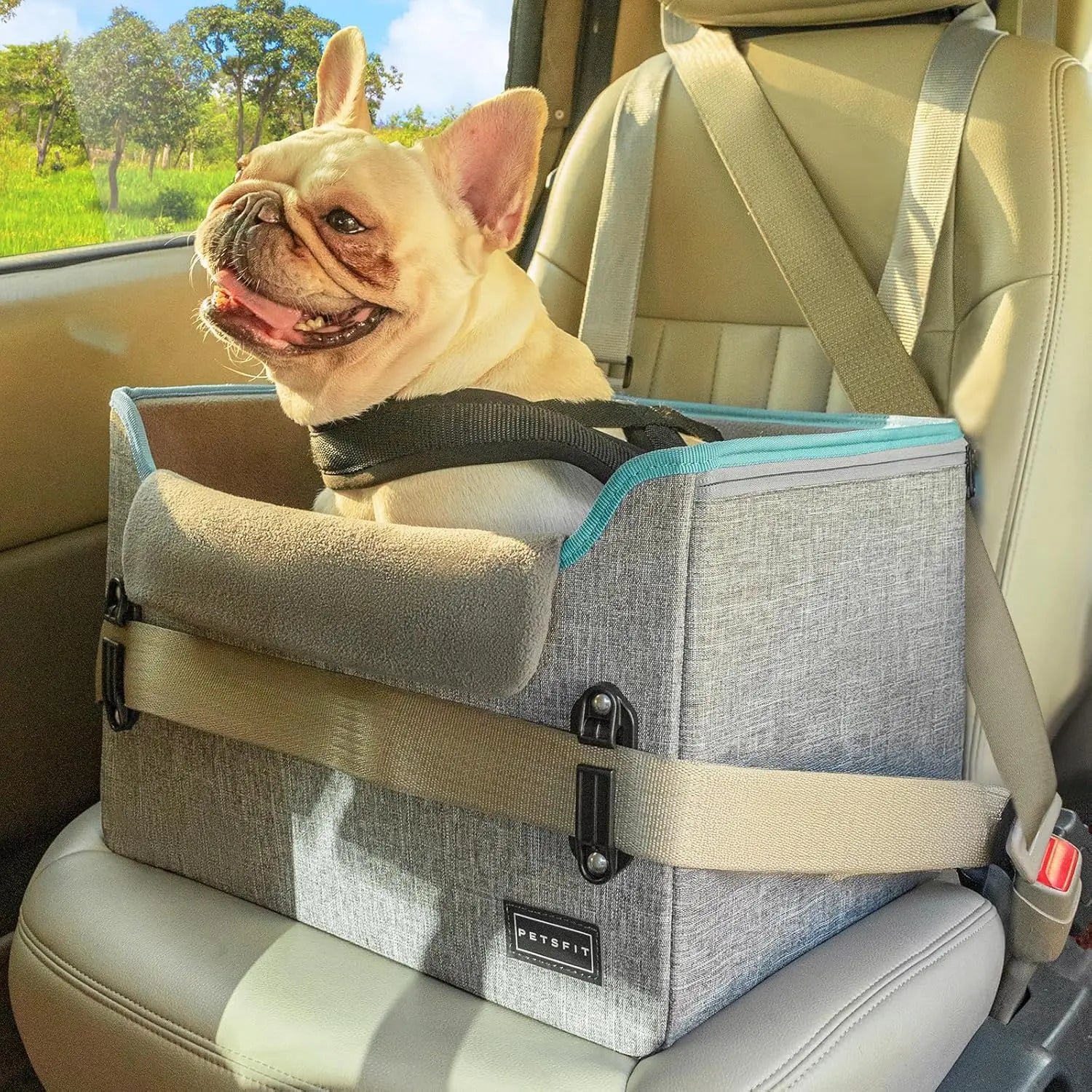 PETSFIT Small Dog Booster Car Seat — Foldable, Safety Tether