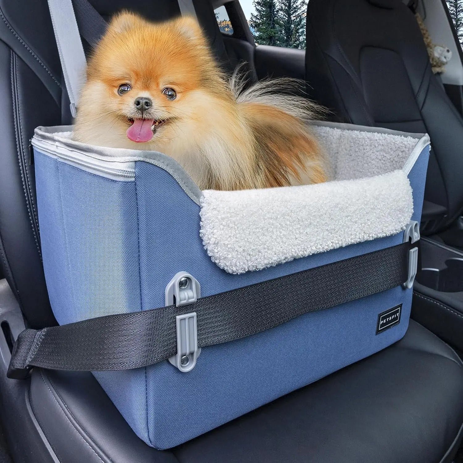 PETSFIT Small Dog Booster Car Seat — Foldable, Safety Tether
