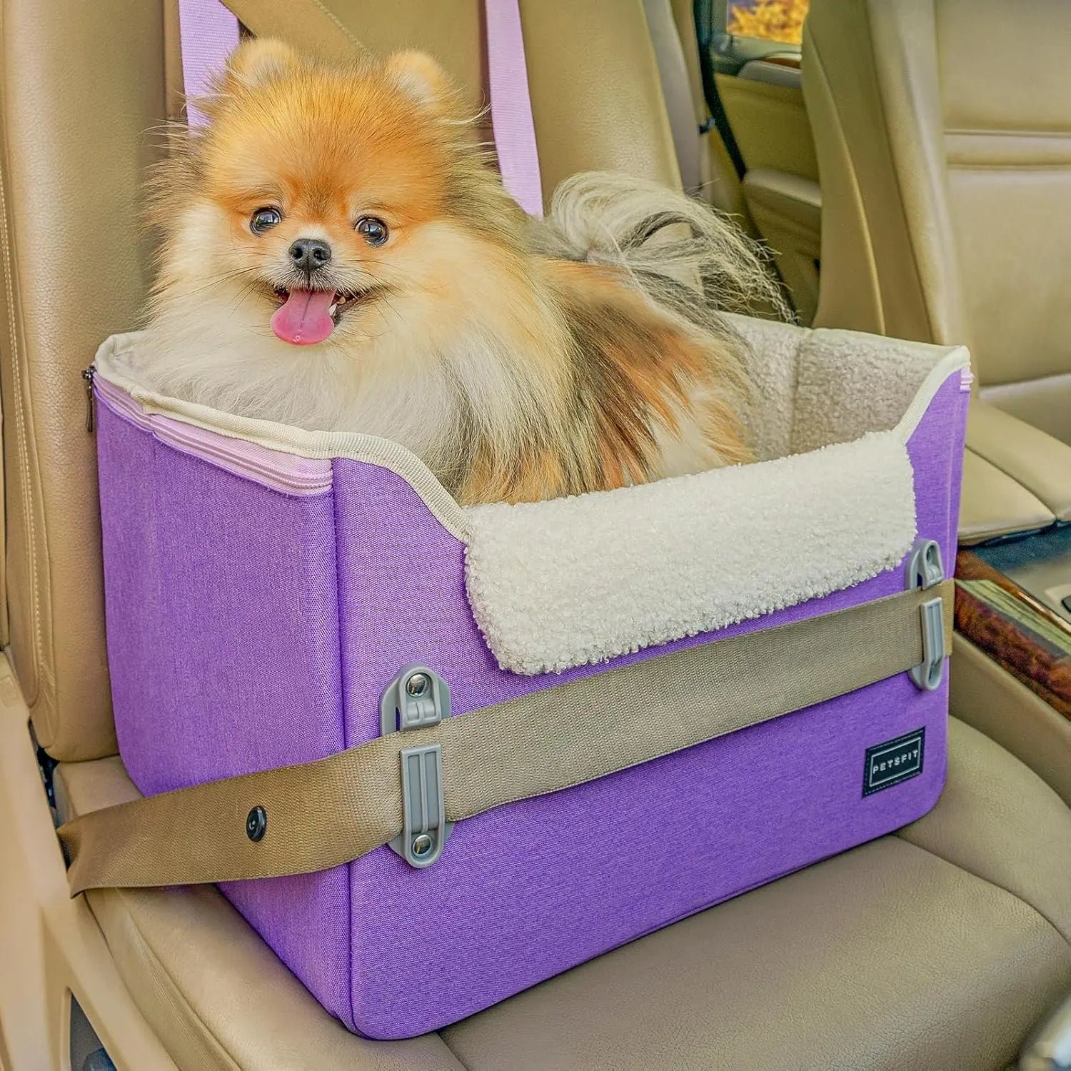 PETSFIT Small Dog Booster Car Seat — Foldable, Safety Tether
