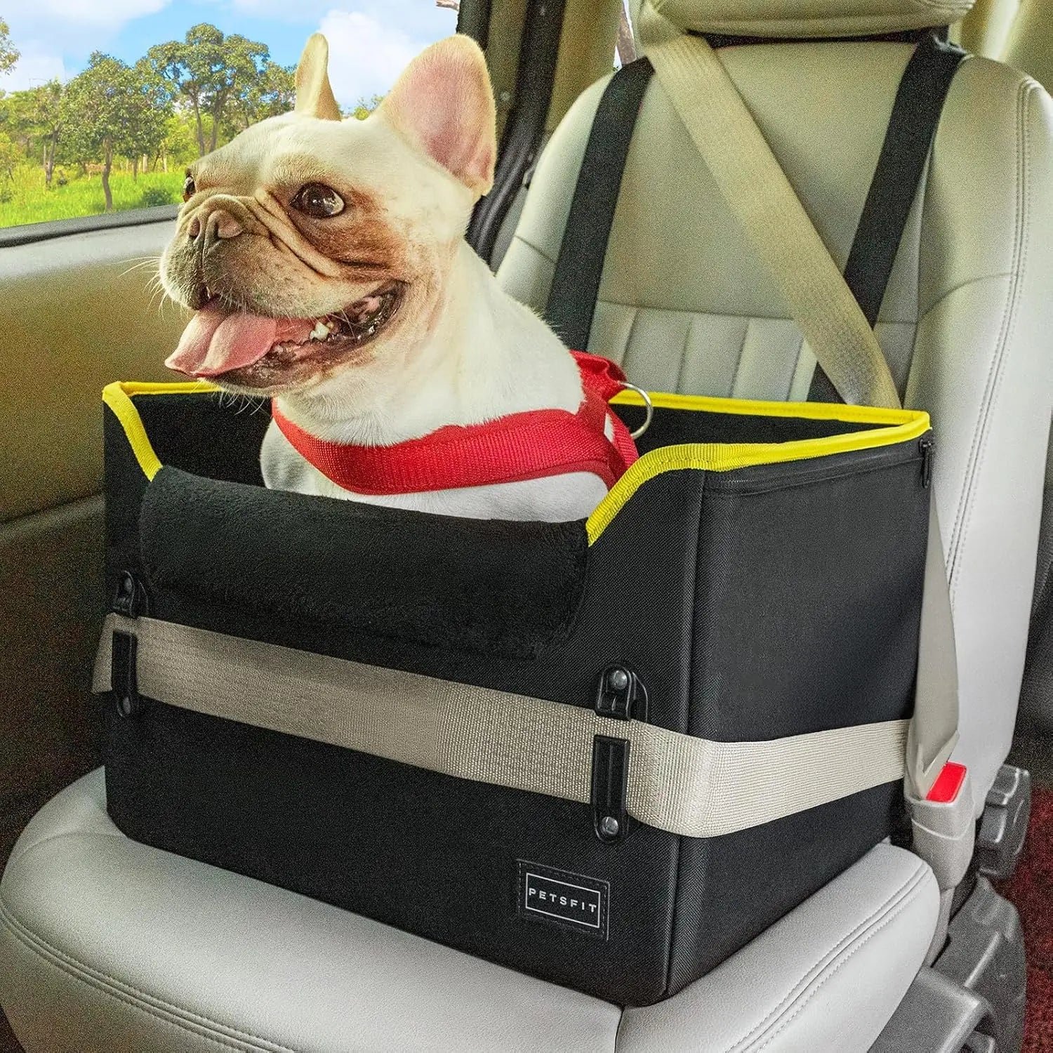 PETSFIT Small Dog Booster Car Seat — Foldable, Safety Tether