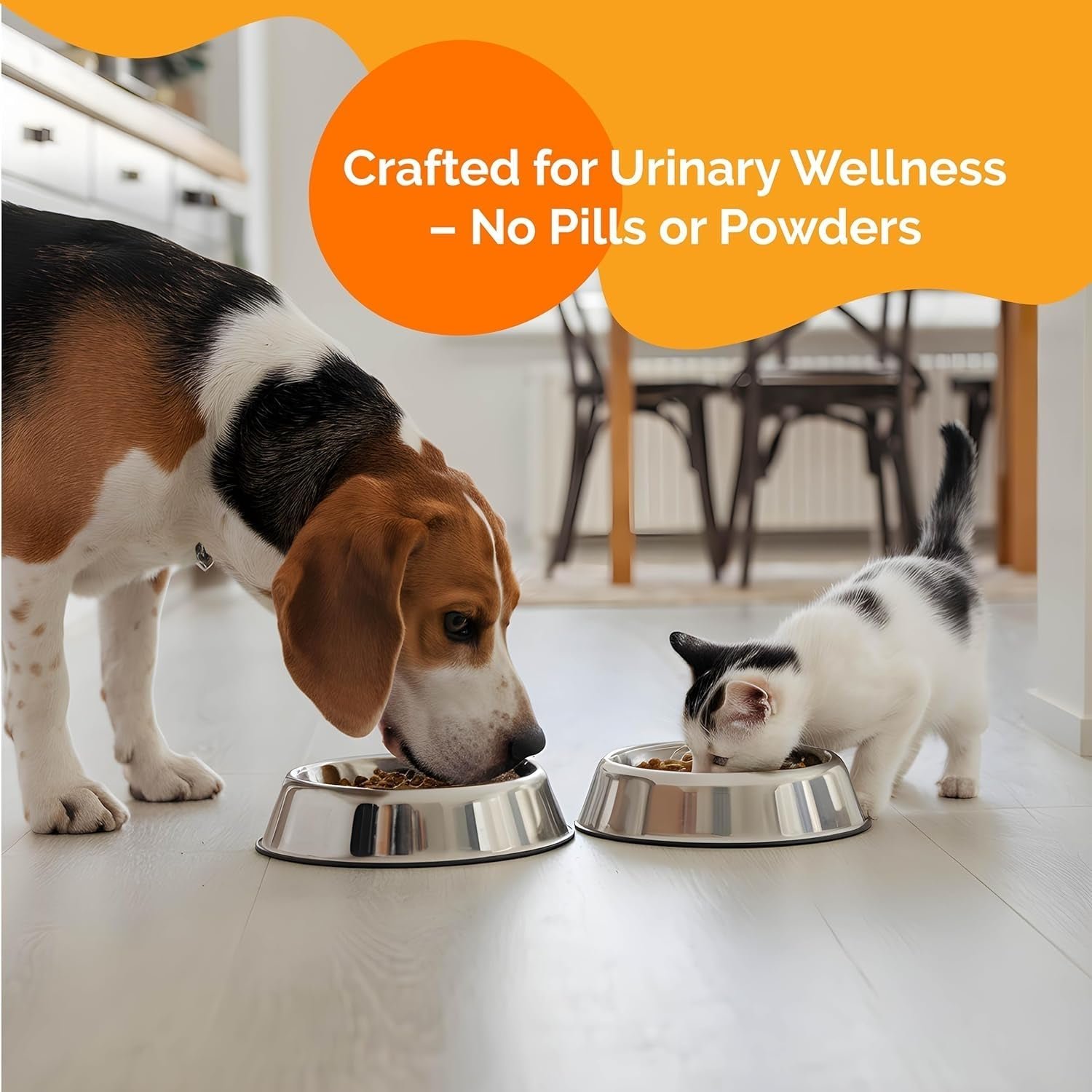 Urinary Tract Support Drops for Cats & Dogs — Cranberry Formula