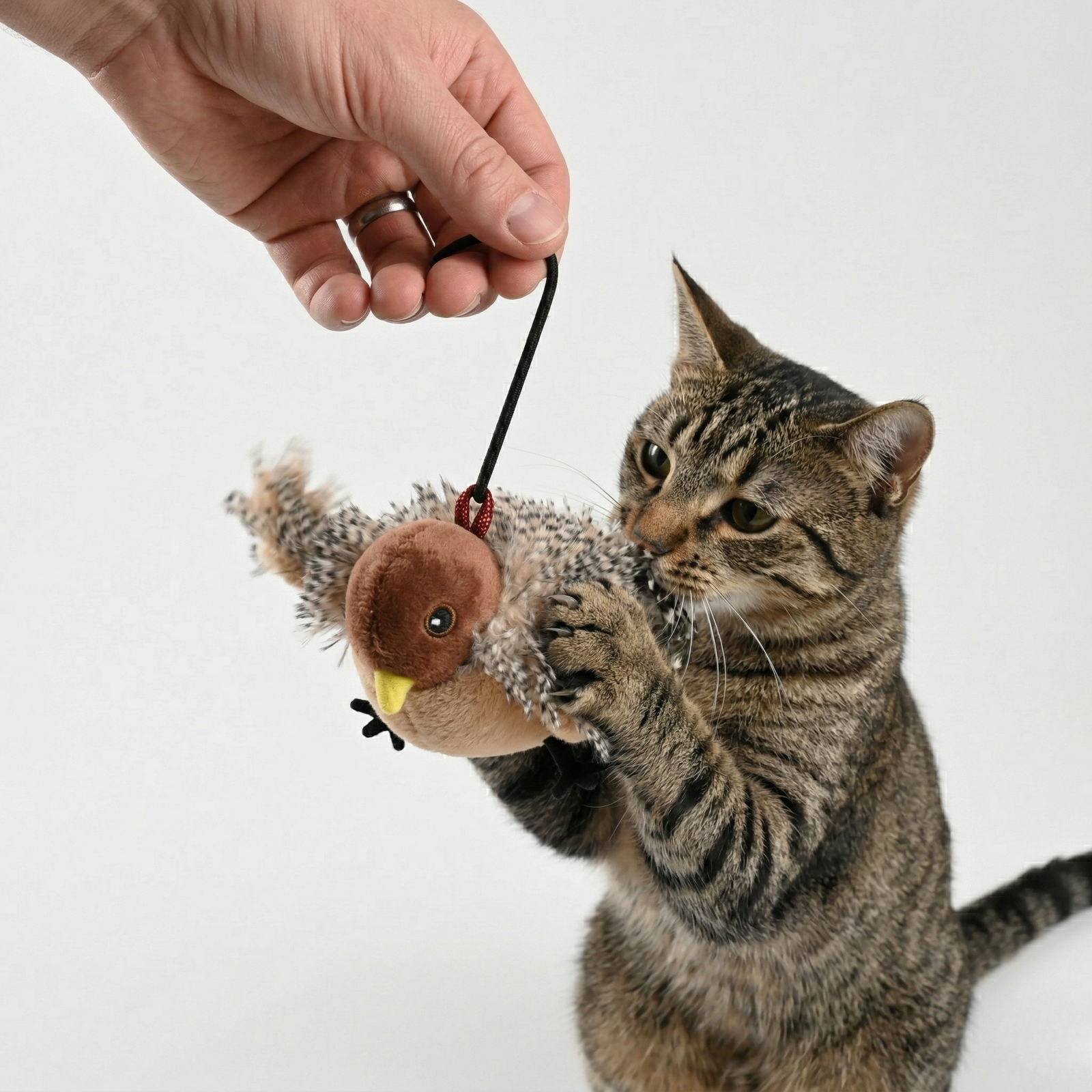 Flapping Bird Cat Toy