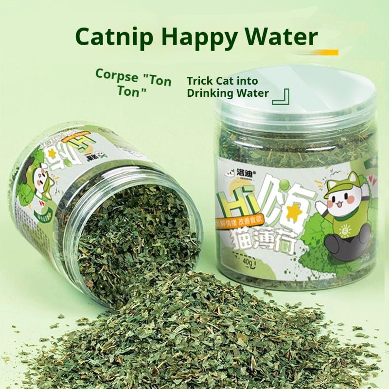Catnip Cat Grass