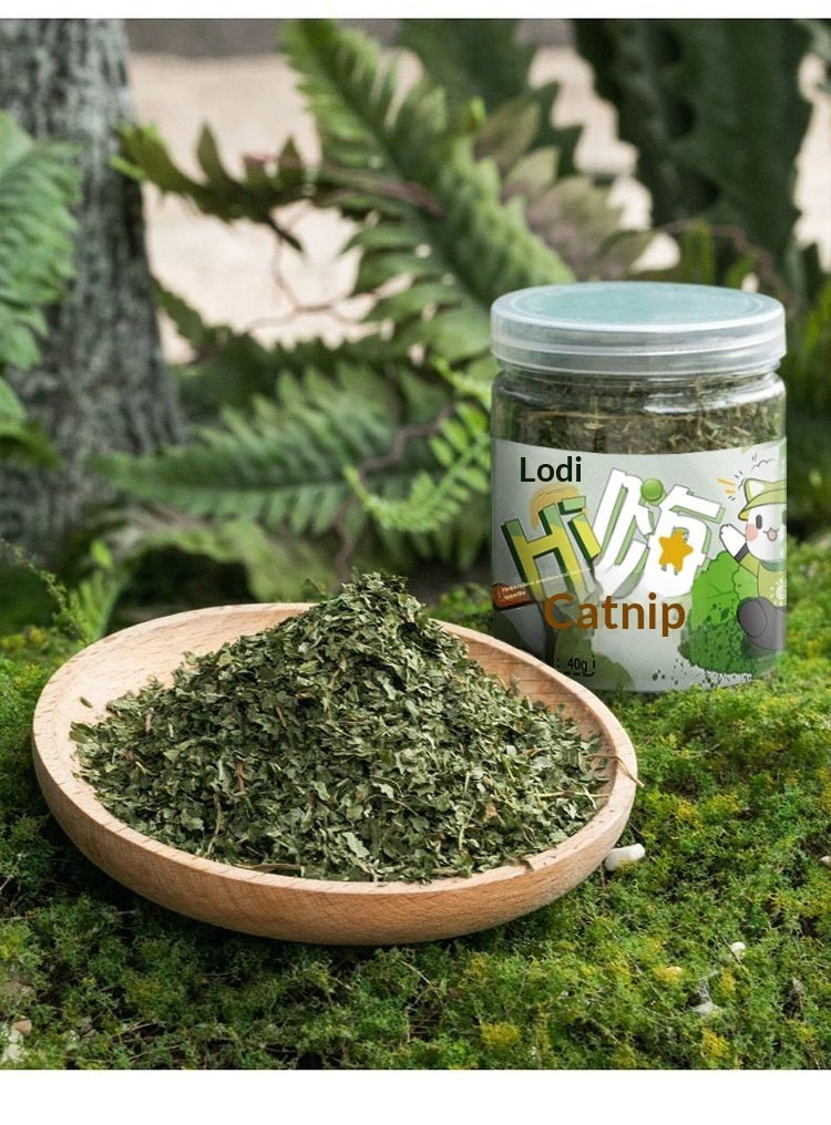 Catnip Cat Grass